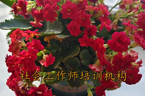 新乡社会工作师培训班学费多少