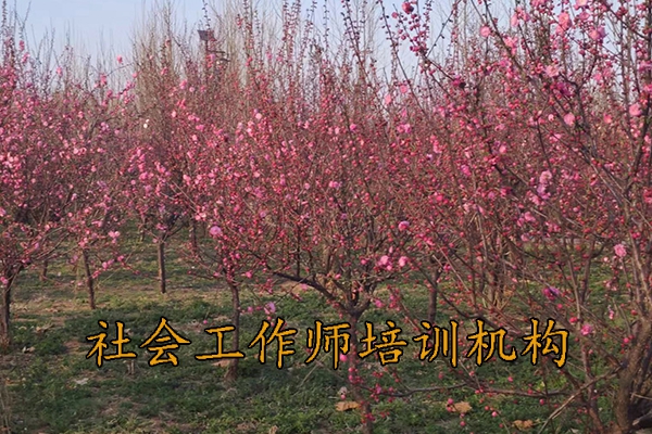 湘潭社会工作师培训机构排名