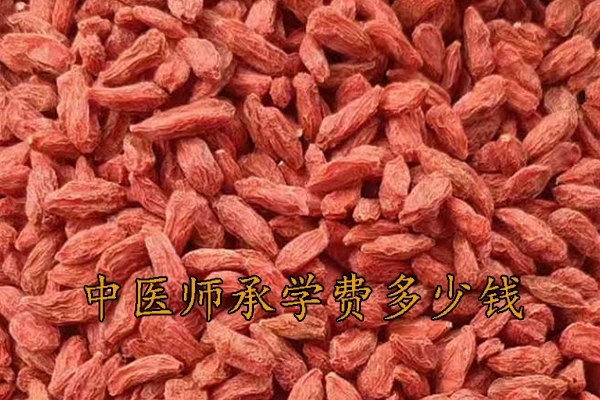 扬州中医师承学费多少钱