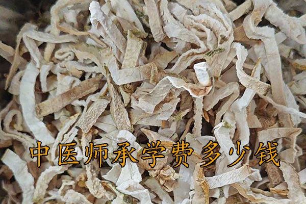 南通中医师承机构学费多少