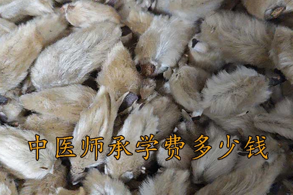 无锡中医师承学费多少钱