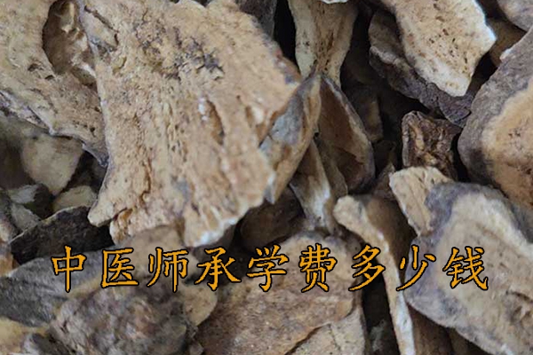 徐州中医师承学费一年多少钱