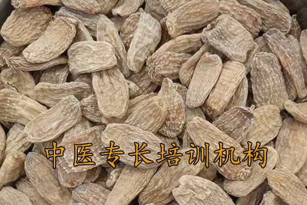 驻马店中医专长培训机构排名前十