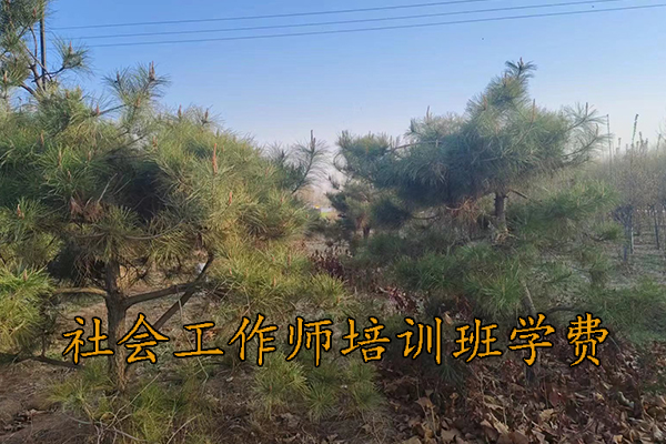包头社会工作师培训班学费多少