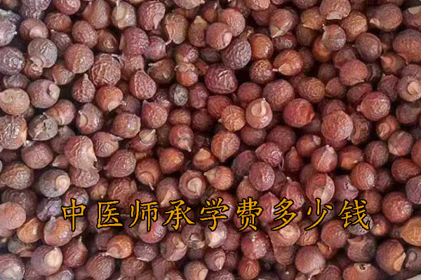 盐城中医师承机构学费多少