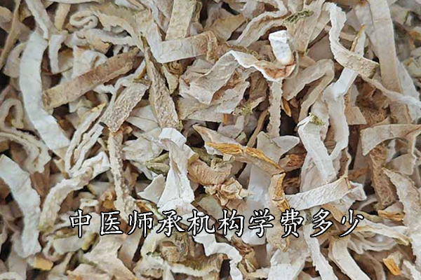 蚌埠中医师承机构学费多少