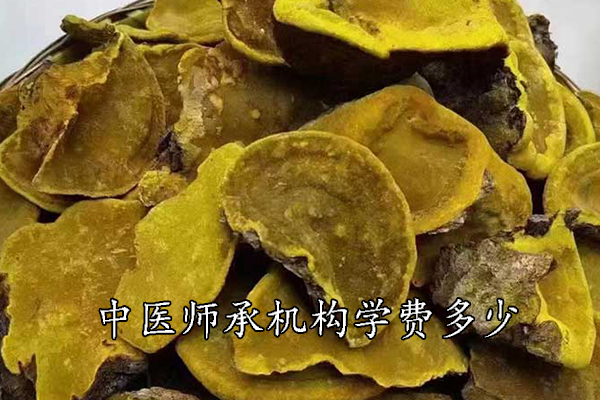 滁州中医师承学费多少钱