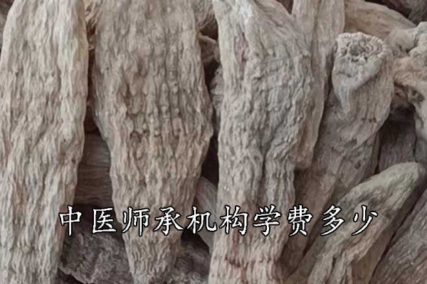 宿州中医师承学费多少钱