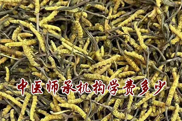 厦门中医师承学费多少钱