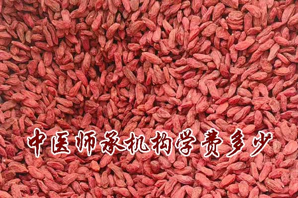 泉州中医师承学费一年多少钱