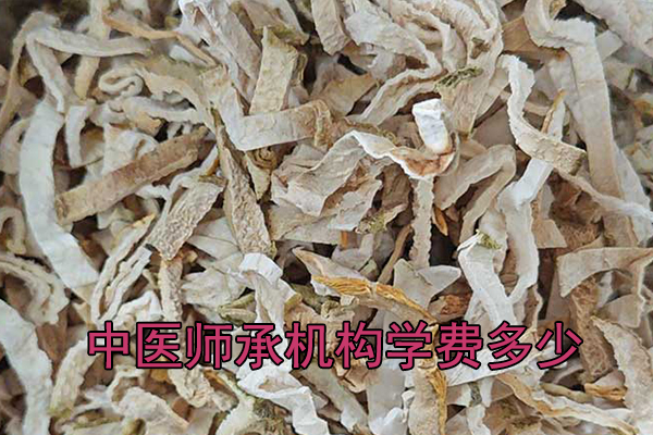 上饶中医师承学费多少钱