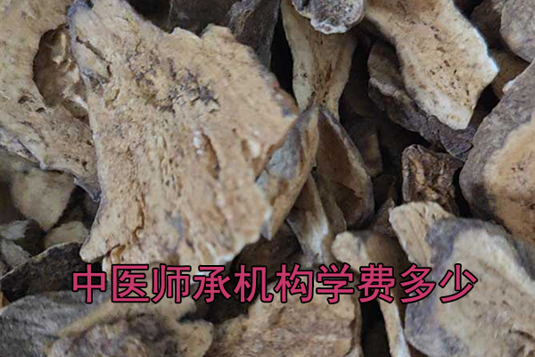 赣州中医师承学费一年多少钱