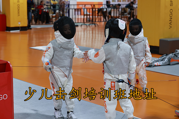 武昌少儿击剑培训班地址
