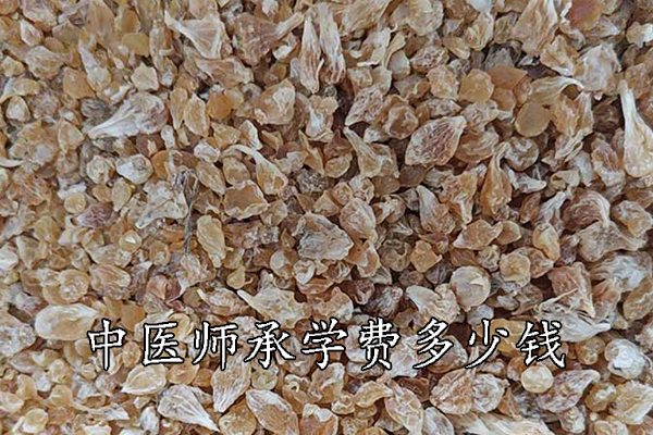 南阳中医师承学费一年多少钱