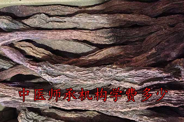 岳阳中医师承机构学费多少