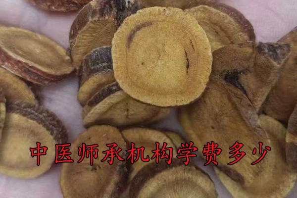 株洲中医师承学费多少钱