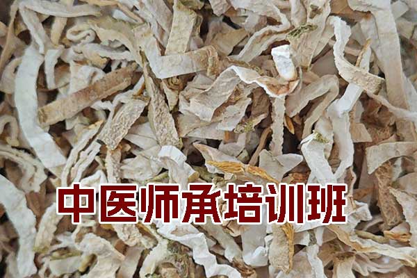 中医师承培训班正规机构多少钱