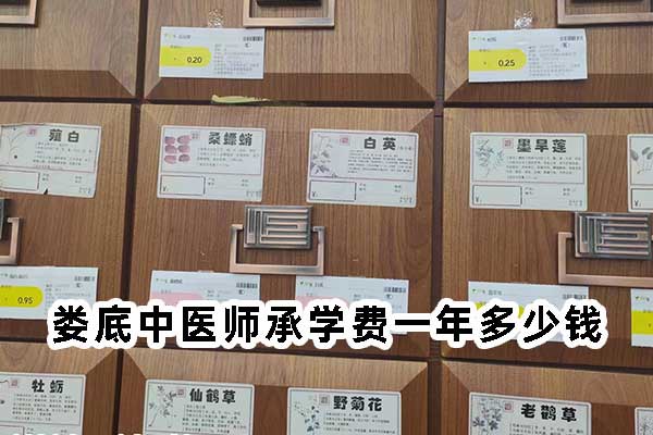 娄底中医师承学费一年多少钱