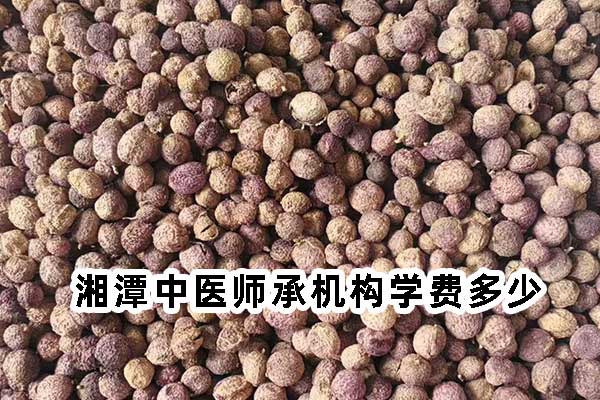 湘潭中医师承机构学费多少
