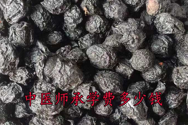 益阳中医师承学费多少钱