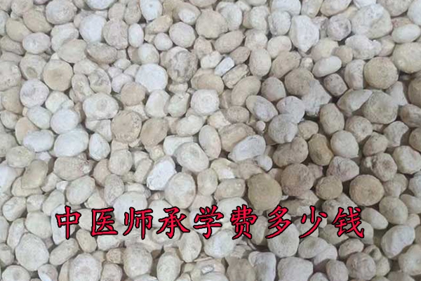 常德中医师承学费一年多少钱