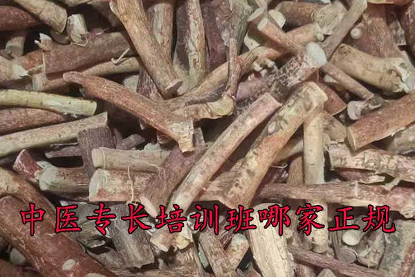 石嘴山中医专长培训班哪家好