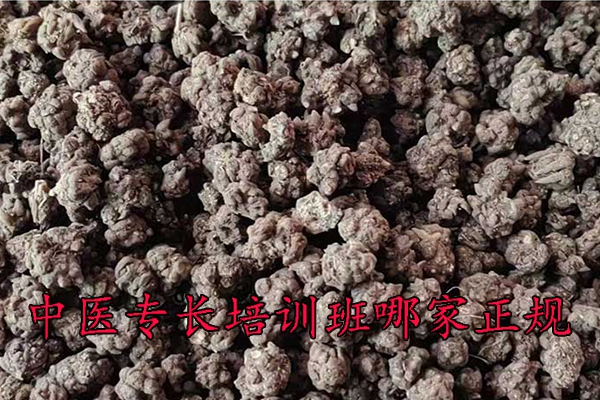 中卫中医专长培训班哪家正规