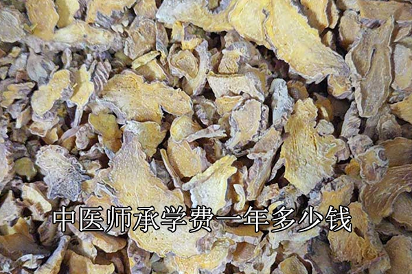 永州中医师承学费多少