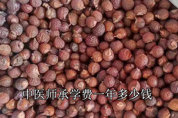 怀化中医师承学费一年多少钱