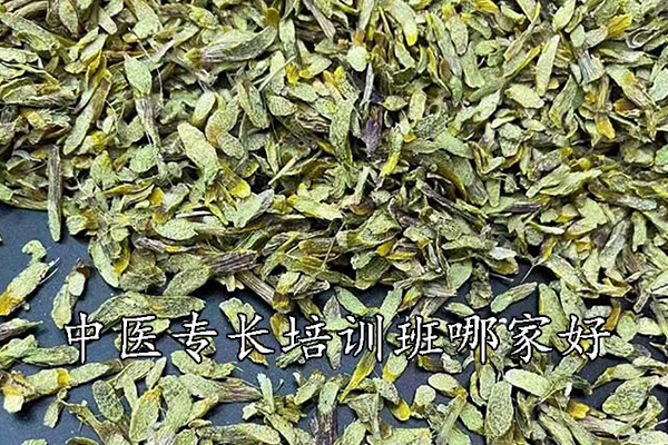 海口中医专长培训班哪家好