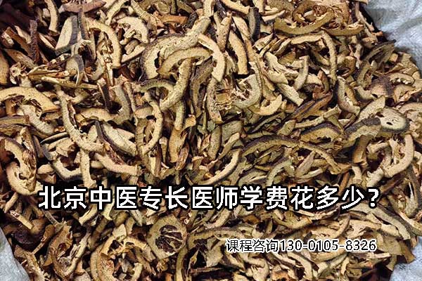 北京中医专长医师学费到底要花多少？